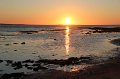 papay_14_0258