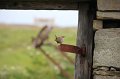 papay_14_0309