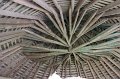 papay_14_0442