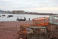 IMG_5908